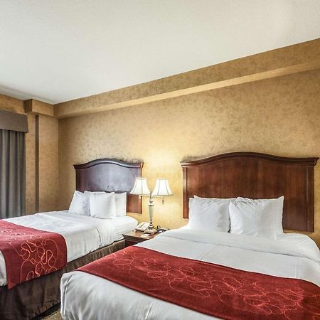 Comfort Suites Alamo-River Walk San Antonio Luaran gambar