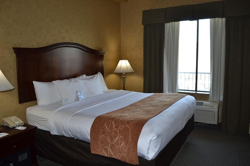 Comfort Suites Alamo-River Walk San Antonio Luaran gambar